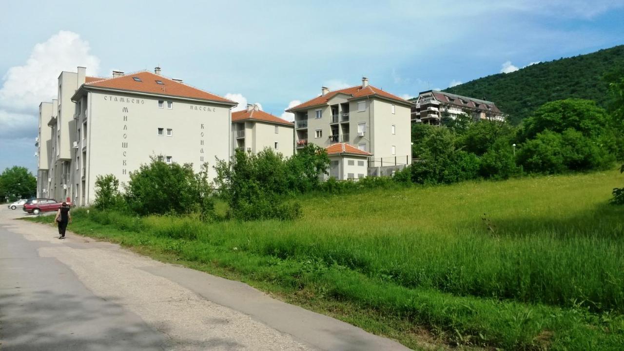 Studio La Casa Soko Banja Eksteriør bilde